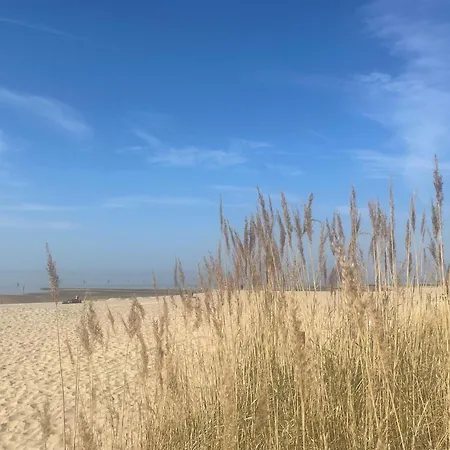 Apartment Nordseebrandung D1 5